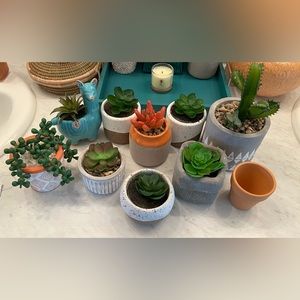 9 boho mini faux plant bundle
